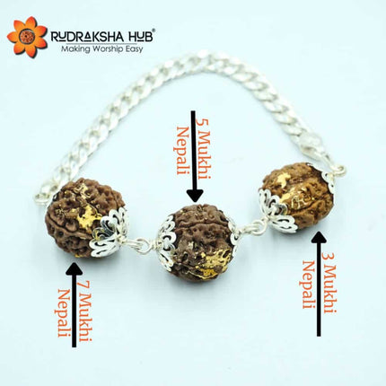 Rudraksha Bracelet for Job Promotion