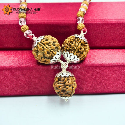 Rudraksha for Job promotion