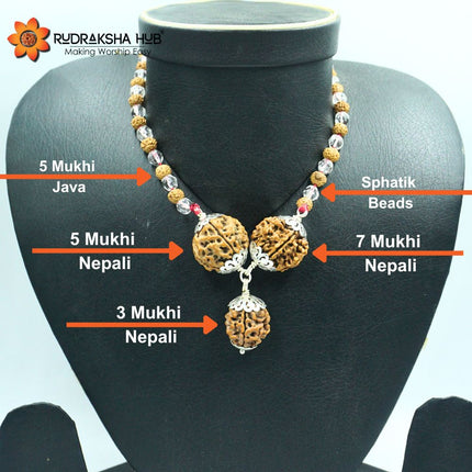 Rudraksha for Job promotion