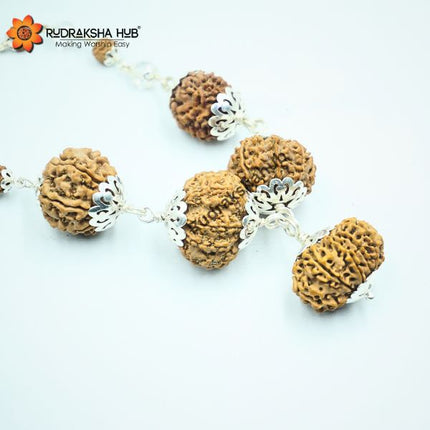Rudraksha for Creativity
