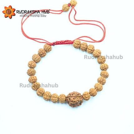 Rudraksha for Good Gut Health