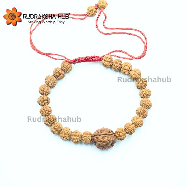 Rudraksha for Good Gut Health