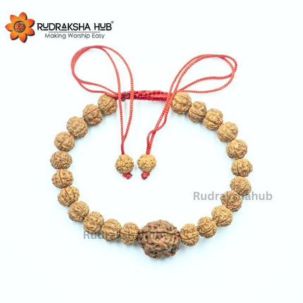 Rudraksha for Good Gut Health