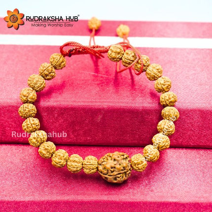 Rudraksha for Good Gut Health
