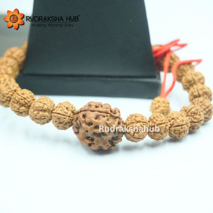 Rudraksha for Good Gut Health