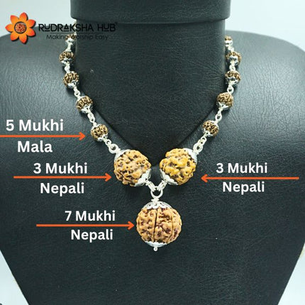 अच्छे स्वास्थ्य और समृद्धि के लिए रुद्राक्ष