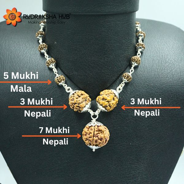 अच्छे स्वास्थ्य और समृद्धि के लिए रुद्राक्ष