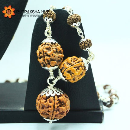 अच्छे स्वास्थ्य और समृद्धि के लिए रुद्राक्ष