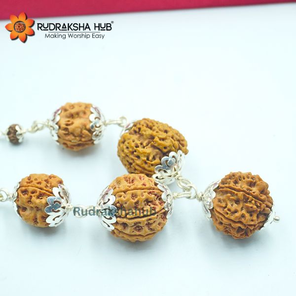 Rudraksha for Health, Knowledge Money