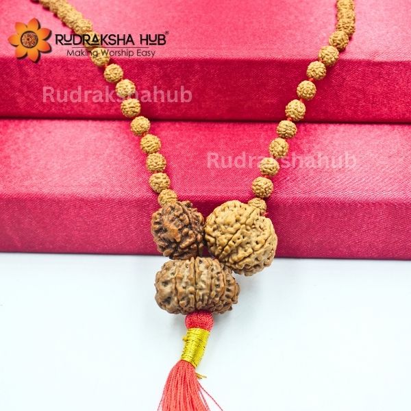 Rudraksha for Health and Wellness
