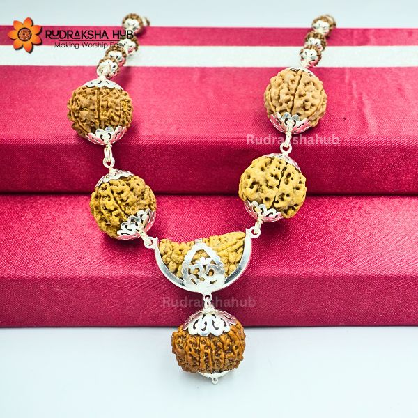 Rudraksha for PTSD Recovery