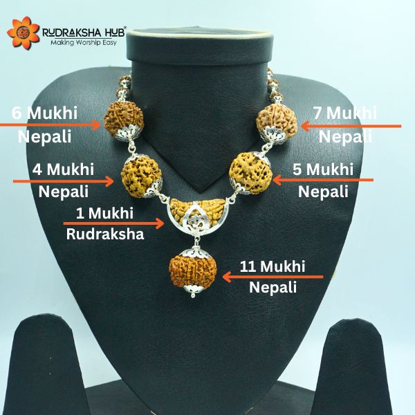 Rudraksha for PTSD Recovery