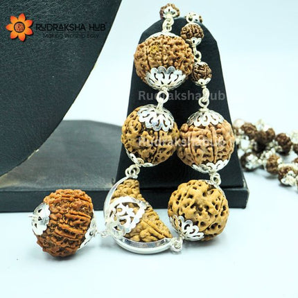 Rudraksha for PTSD Recovery