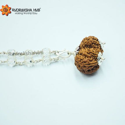 Rudraksha for Peaceful Marriage