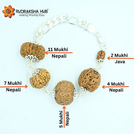 Rudraksha for Self-Confidence
