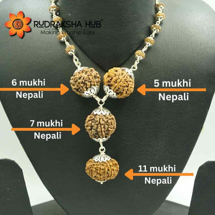 Rudraksha for Addiction