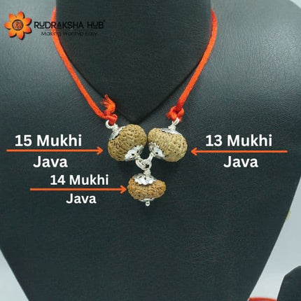 Rudraksha for Artists