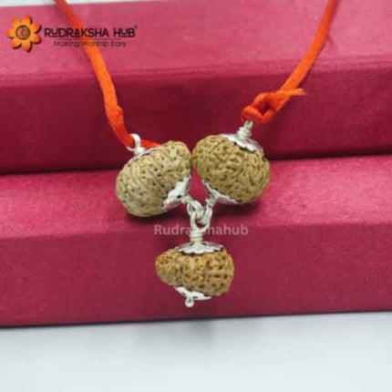 Rudraksha for Artists
