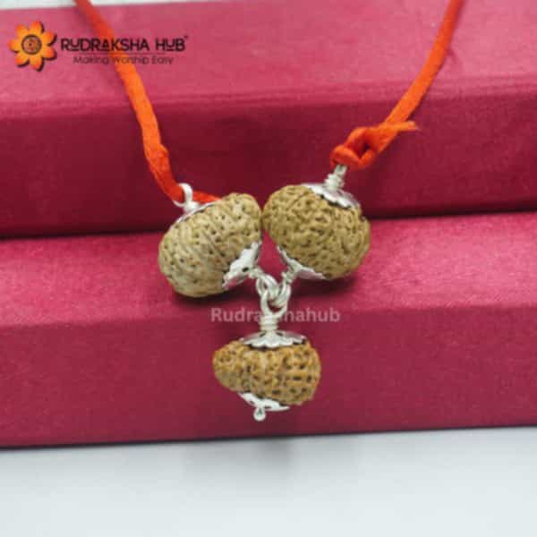 Rudraksha for Artists