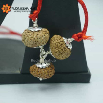 Rudraksha for Artists