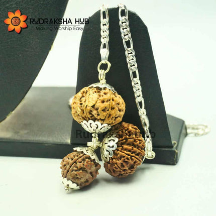 Rudraksha for Balance