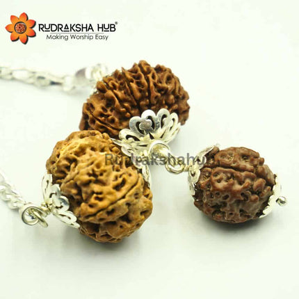 Rudraksha for Balance