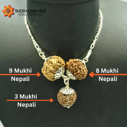 Rudraksha for Balance