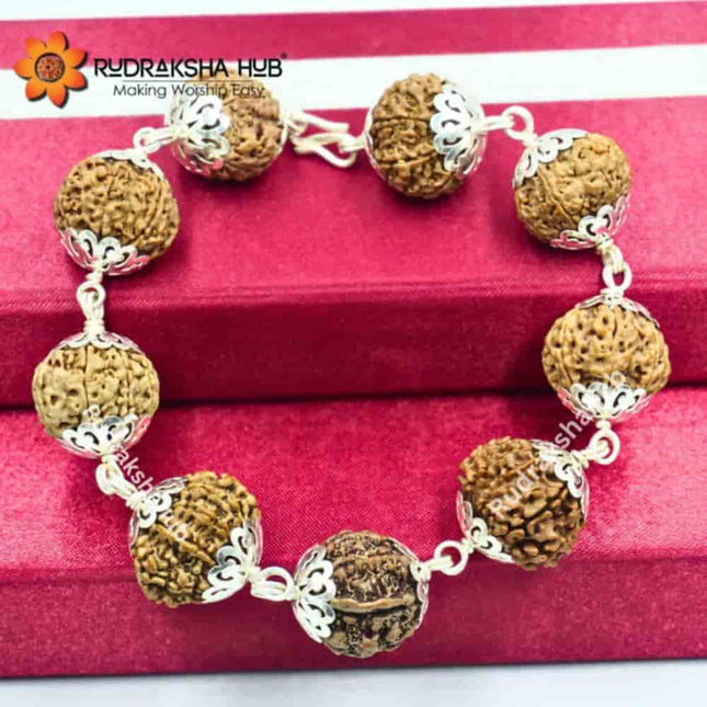 Rudraksha for Cash Flow