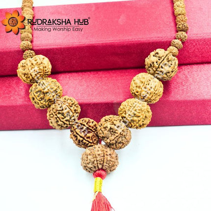 Rudraksha for Officers