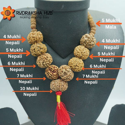 Rudraksha for Officers