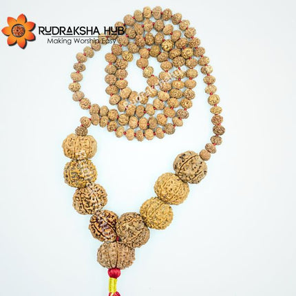 Rudraksha for Officers