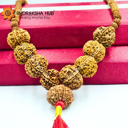 Rudraksha for Officers