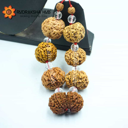 Rudraksha for Consultants