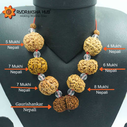 Rudraksha for Consultants