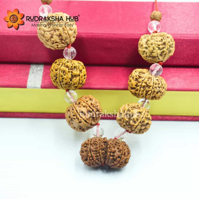 Rudraksha for Consultants