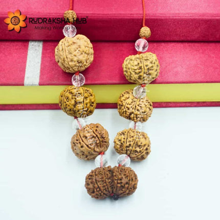 Rudraksha for Consultants