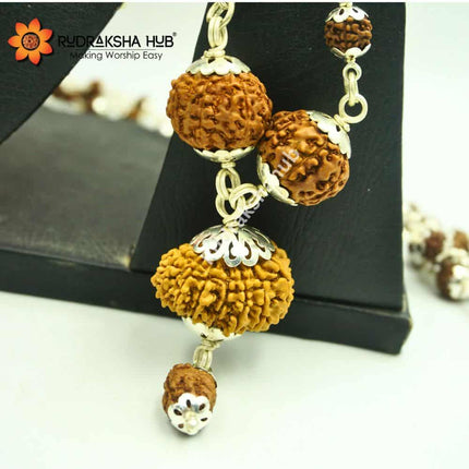 Rudraksha for Decision Making