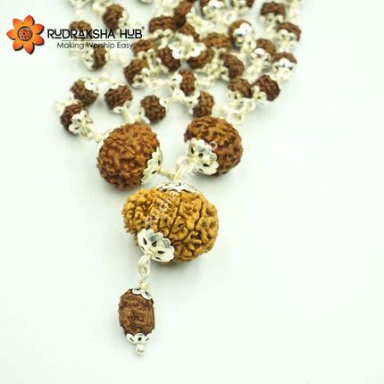 Rudraksha for Decision Making