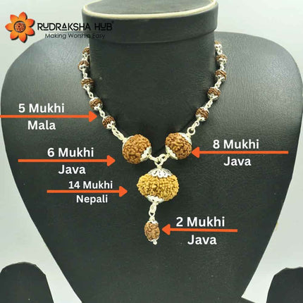 Rudraksha for Decision Making