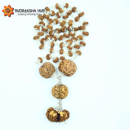 Rudraksha for Gambling