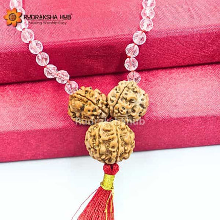 Rudraksha for Good Health, Peace, and Prosperity