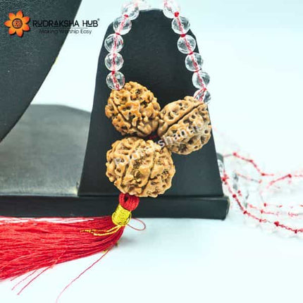 Rudraksha for Good Health, Peace, and Prosperity