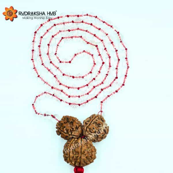 Rudraksha for Good Health, Peace, and Prosperity