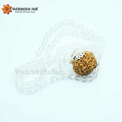 Rudraksha for Good Mental Health