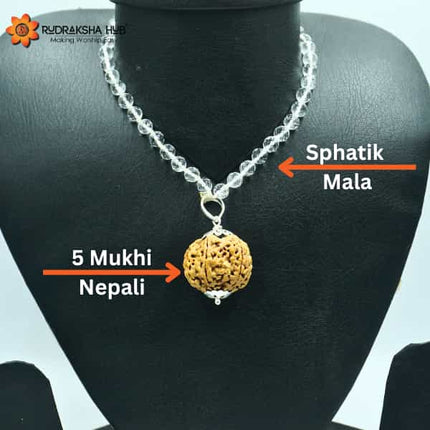 Rudraksha for Good Mental Health