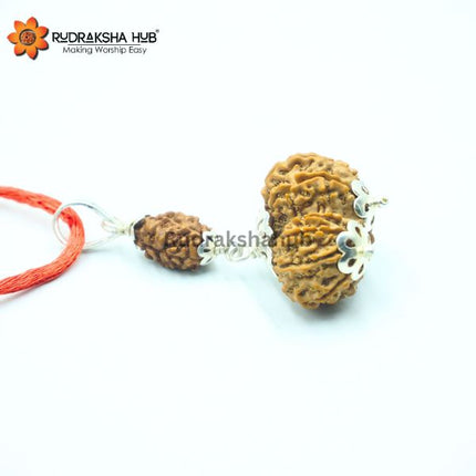 Rudraksha for Marriage Problem