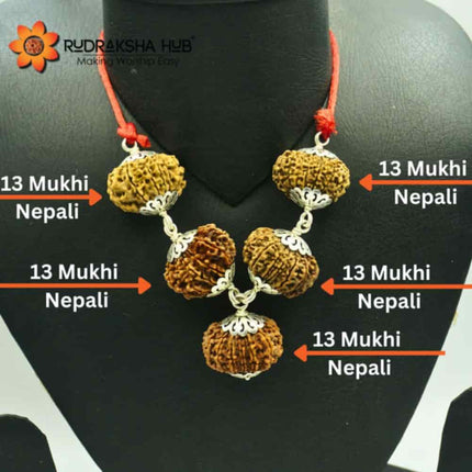 Rudraksha for Venus