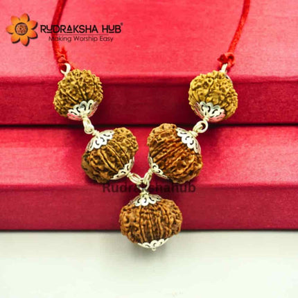Rudraksha for Venus