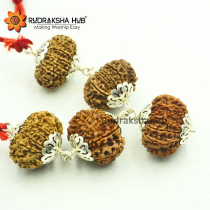 Rudraksha for Venus