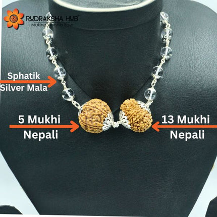Rudraksha for Real Estate